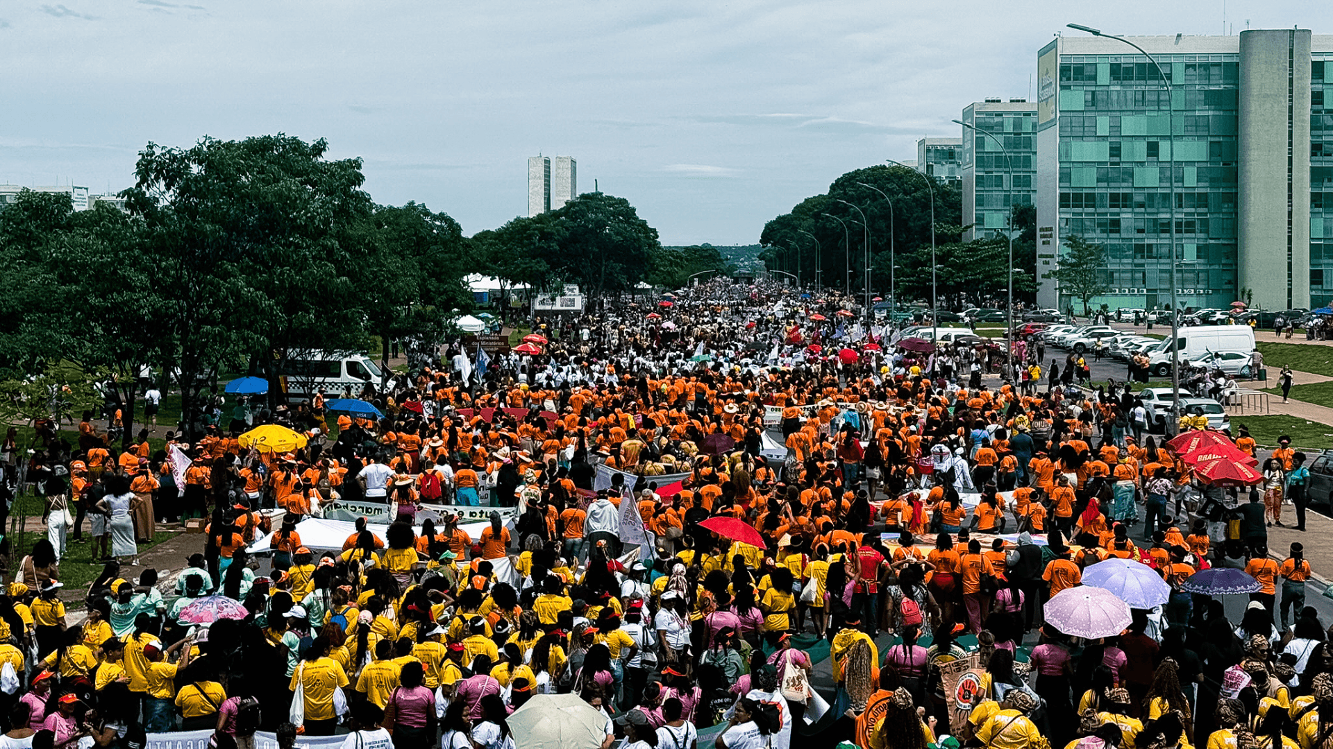Mulheres Negras em Marcha (Black Women on the March)
